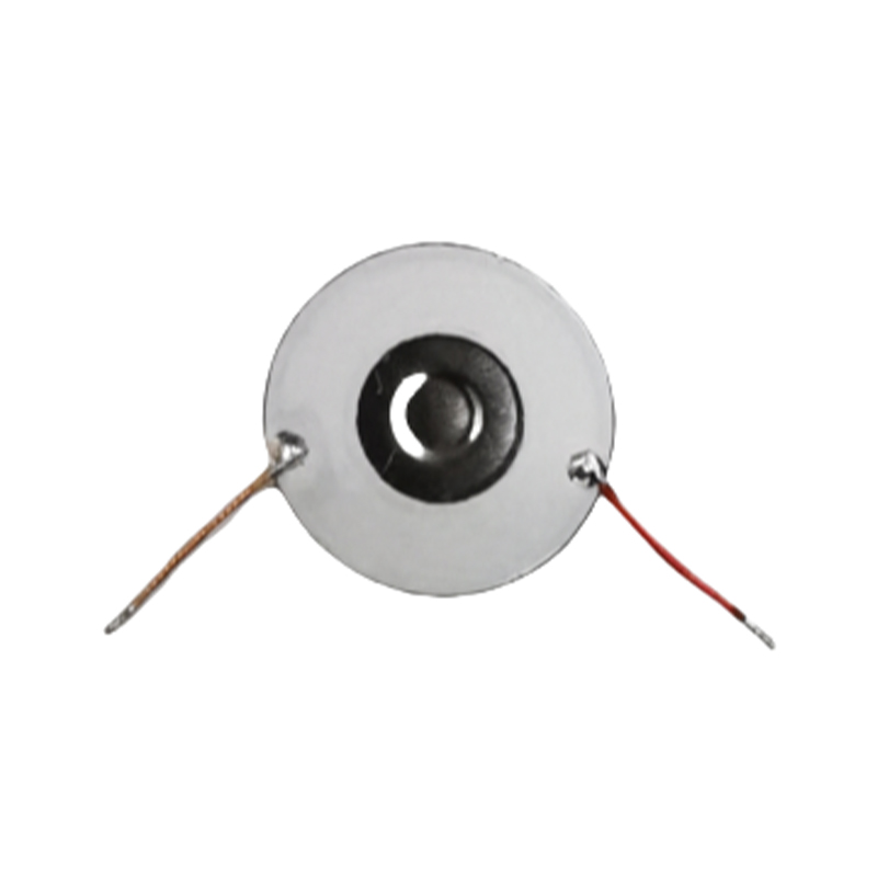 10 mm Nebulisatortabletter Nasal Wash Special Fuktighetskräm Munspray Luftfuktare Nebulisator Special Spray Tabletter Låg strömförbrukning rostfritt stål Micro Mesh Nebulisatorskiva