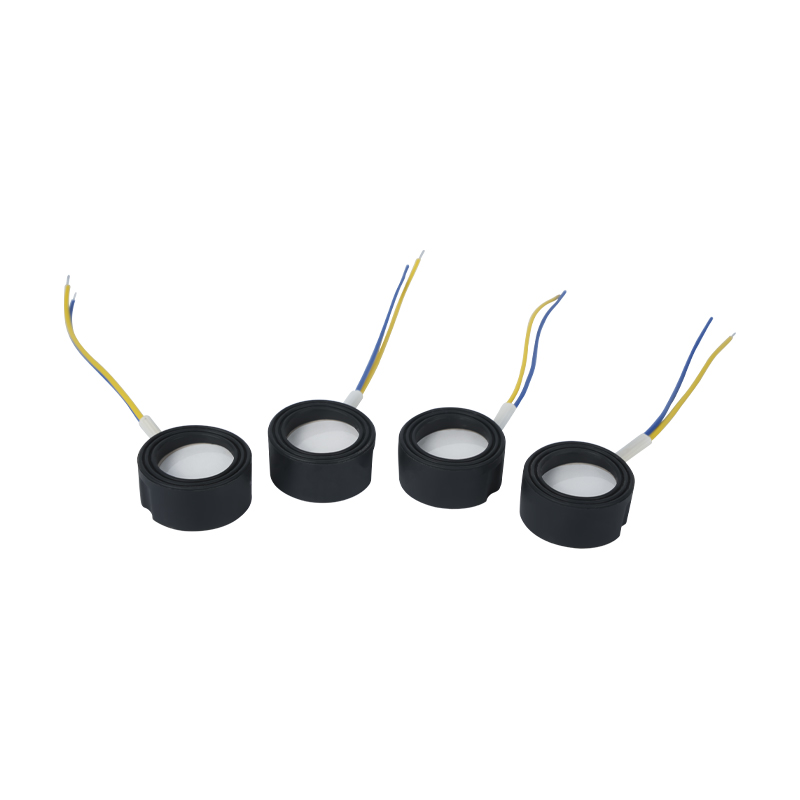 25 mm1,7 mhz ultraljud högfrekvent atomiseringsfotbad Wigwam Cloud Mist Landskapsarkitektur Stor mängd atomisering Piezoelektrisk keramisk givare Oscillerande Atomizer Hög effekt 220v36w