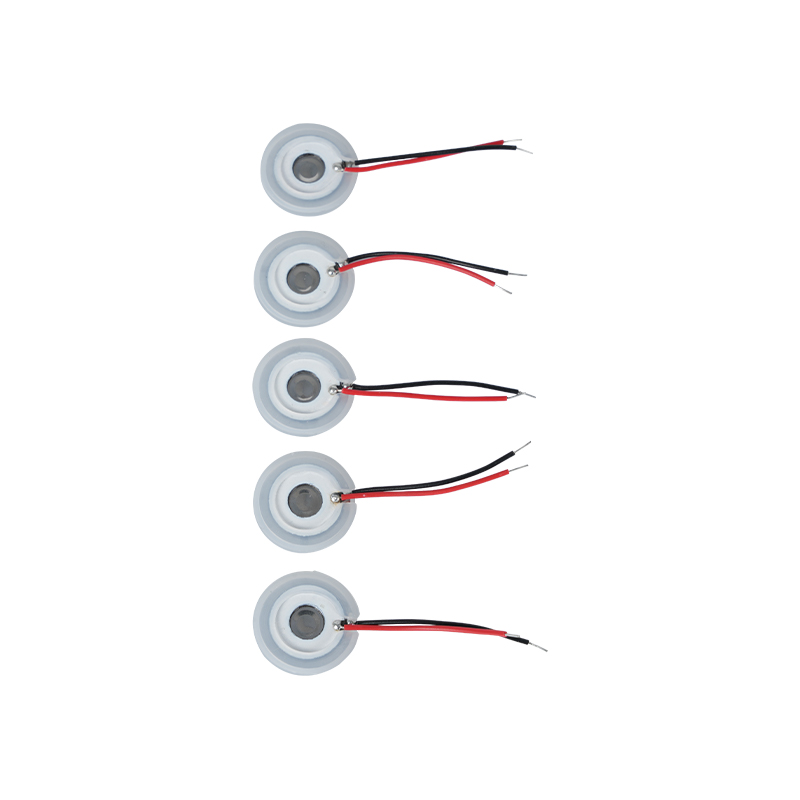 Rostfritt stålnät UltraljudsdimningsplåtAroma eterisk olja Fuktning Mikroporös dimningsbricka16-110KHZ SprayplåtHål SprayplåtMesh Mesh-dimningsbricka