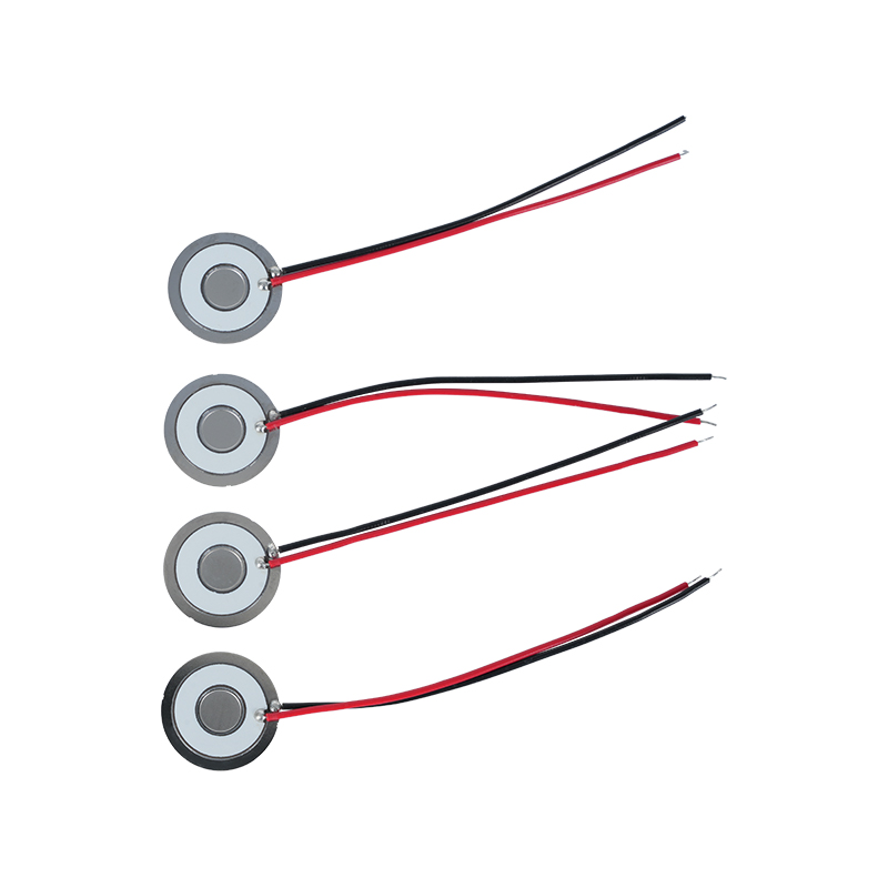 Φ20 Atomizing Disk Frequency 111khz304 Rostfritt stål Micro Mesh Atomizing Disk Mesh Atomizing Sheet Luftkonditionering Kylare Kylskåp Fresh Fuktning Mesh Atomizing Disperser Sheet Atomization Rate>800ml/H