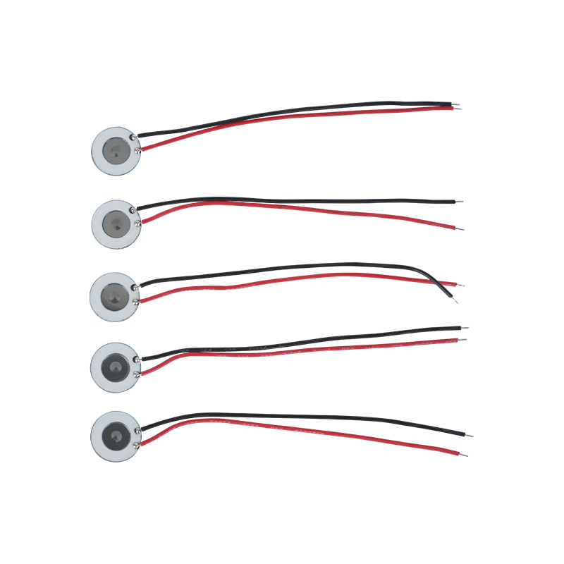 10mm rostfritt stål mikroporös atomizer Skönhet Hydration Instrument Oral Spray Parfym Spray Befuktning Desinfektion Mesh Atomizer Gäller även för elektronisk rökavvänjning och andra produkter